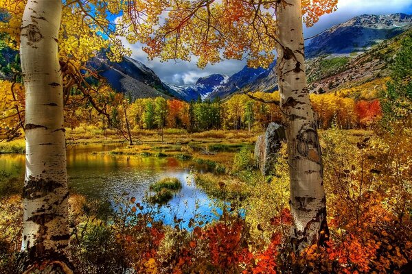 Colorful autumn bright landscape