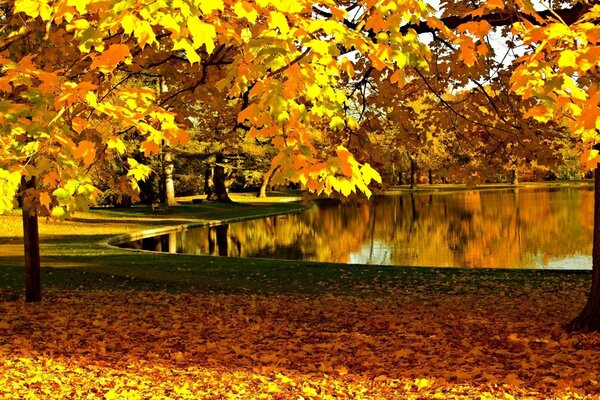 Goldener Herbst mit gefallenen Blättern am Fluss