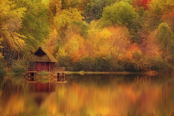 Casa d autunno d oro sul fiume