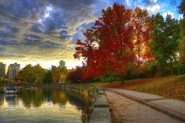 Green, red, yellow trees on the river