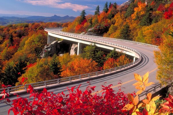 An asphalt road in the mountains against the background of autumn trees with colorful leaves