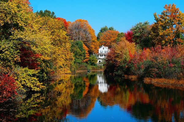 A river shrouded in autumn forest in the distance with a white house