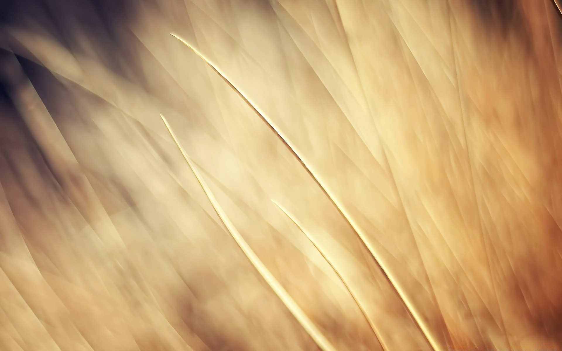 automne résumé papier peint nature flou art artistique bande lumineux lisse lumière texture