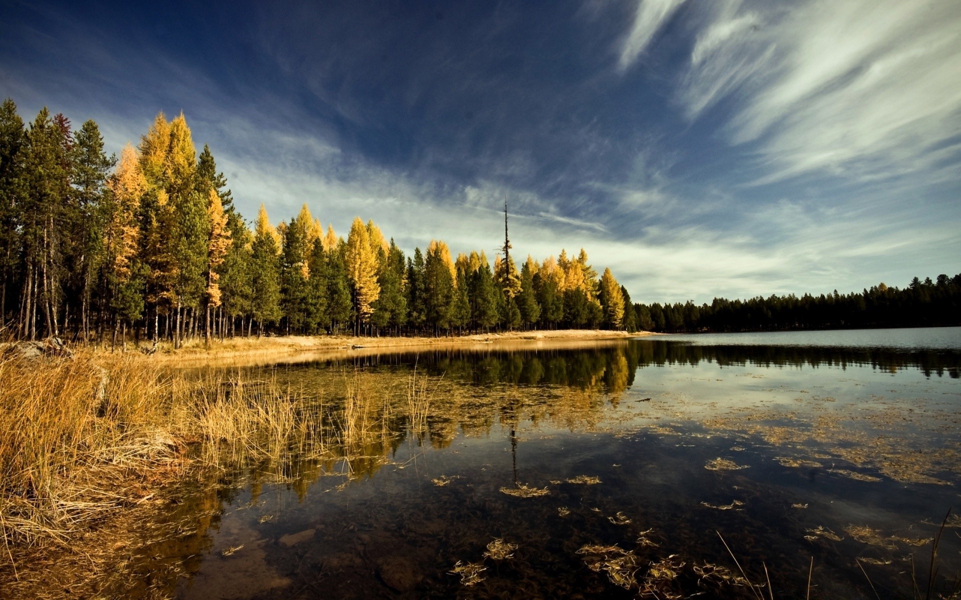 otoño lago paisaje reflexión agua otoño naturaleza amanecer árbol madera río cielo puesta de sol al aire libre escénico piscina noche