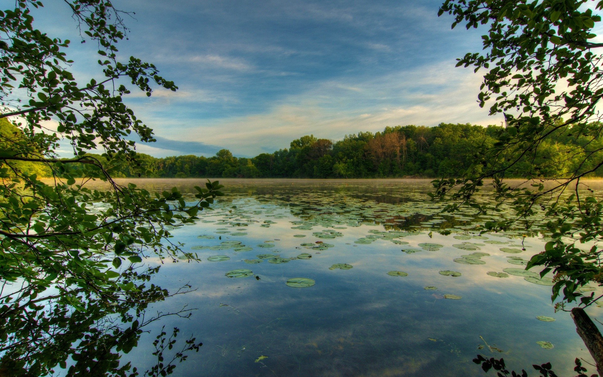 herbst wasser holz landschaft natur holz fluss im freien himmel reflexion see reisen