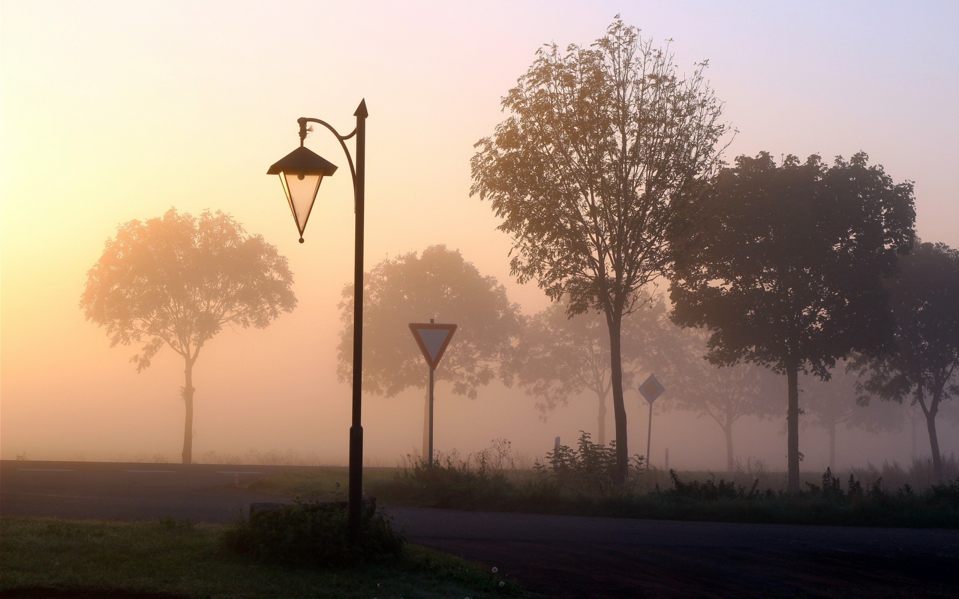 otoño árbol amanecer atardecer niebla cielo al aire libre paisaje niebla silueta naturaleza sol noche