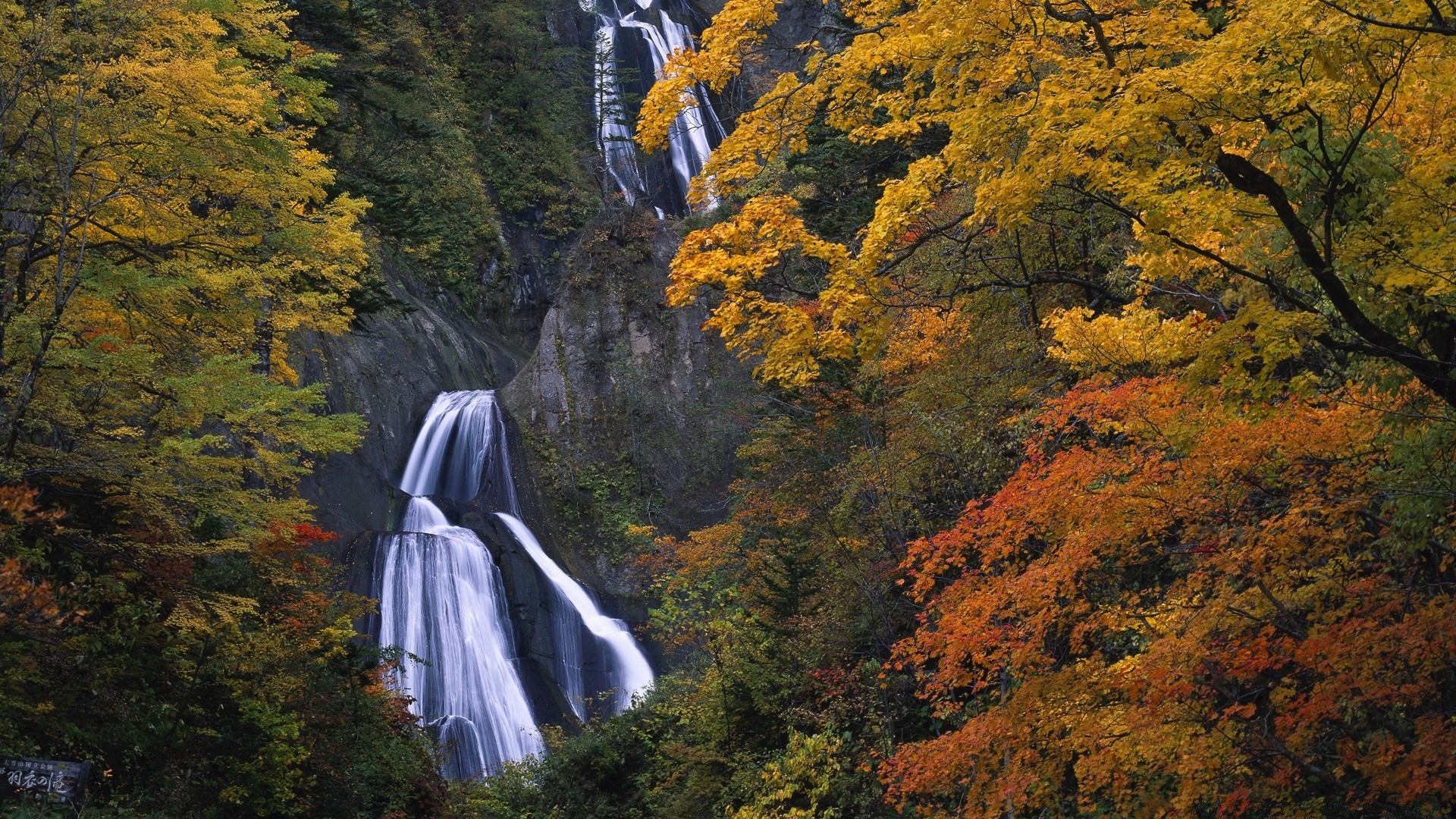 autumn fall wood leaf outdoors tree landscape maple nature scenic travel daylight park mountain