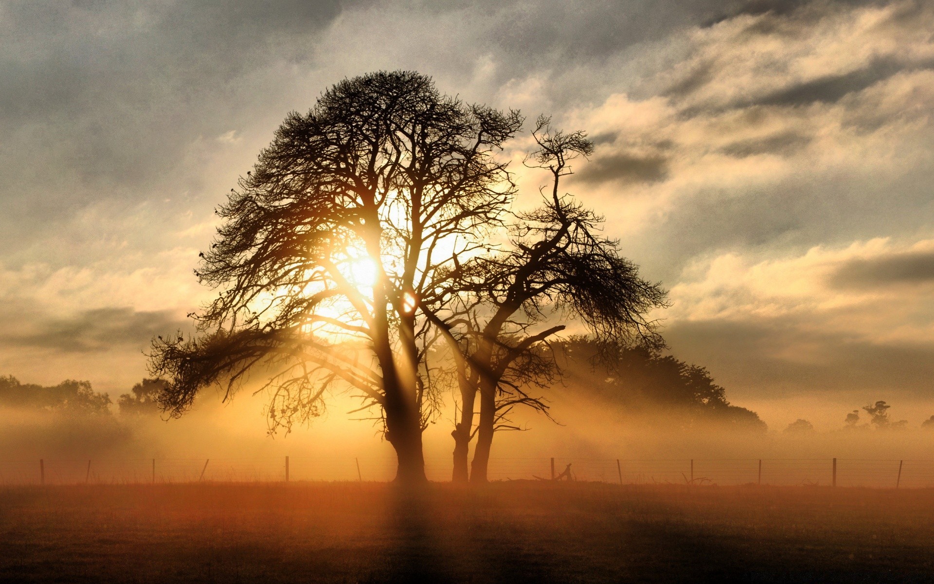 otoño puesta de sol amanecer sol paisaje cielo árbol naturaleza silueta noche iluminado niebla anochecer buen tiempo niebla al aire libre tiempo solo