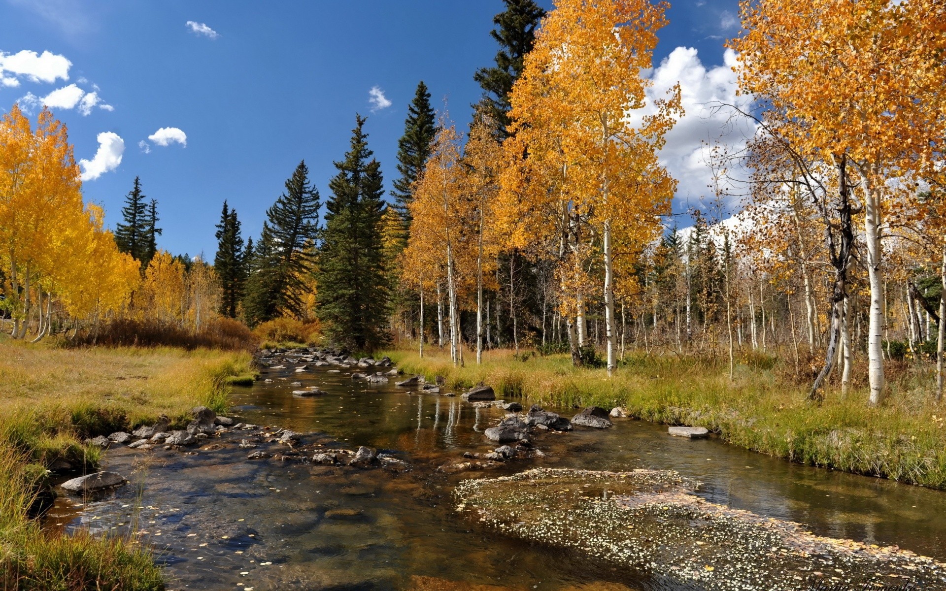 herbst herbst holz natur blatt holz landschaft im freien see landschaftlich wasser park wild saison medium landschaft tageslicht fluss gutes wetter