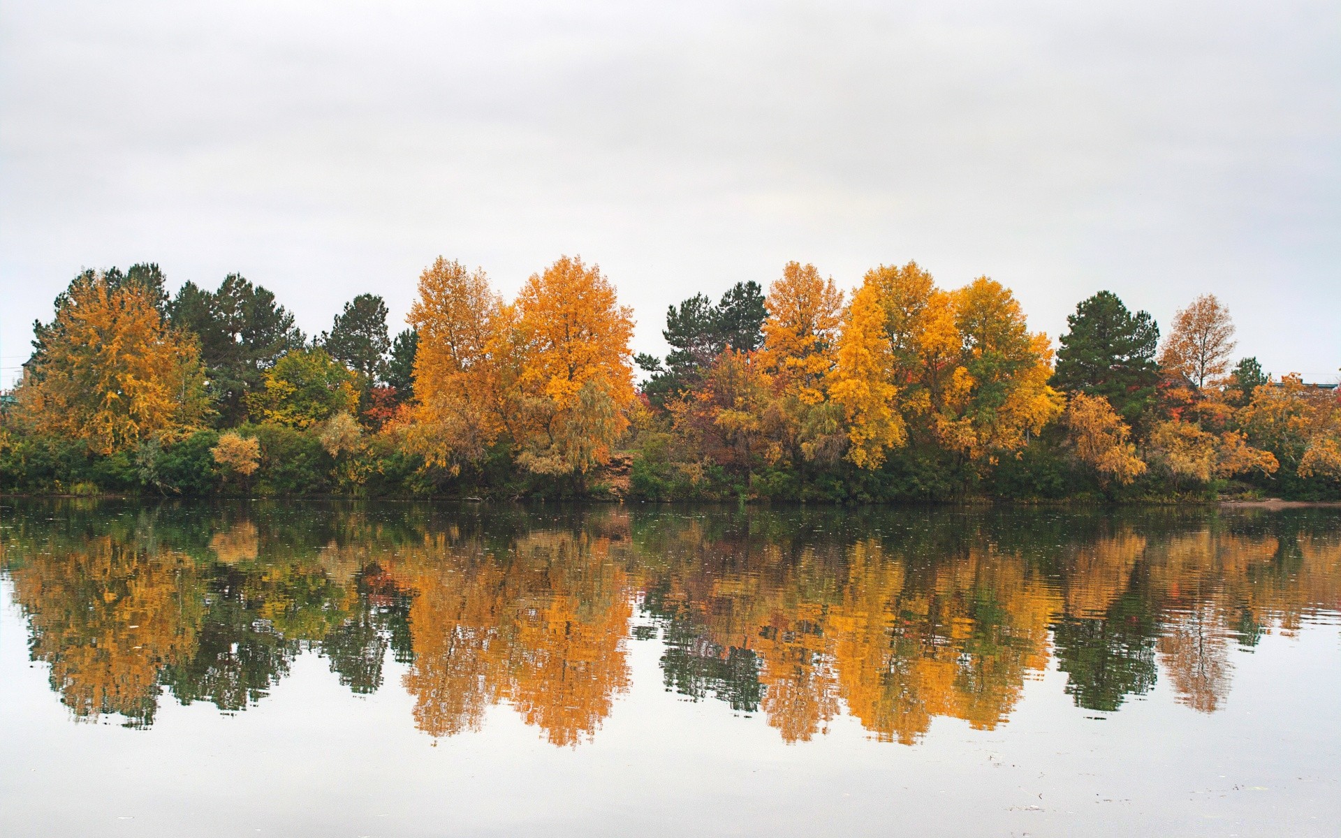 otoño árbol otoño lago paisaje naturaleza hoja madera reflexión al aire libre escénico agua temporada río cielo luz del día piscina color parque flora