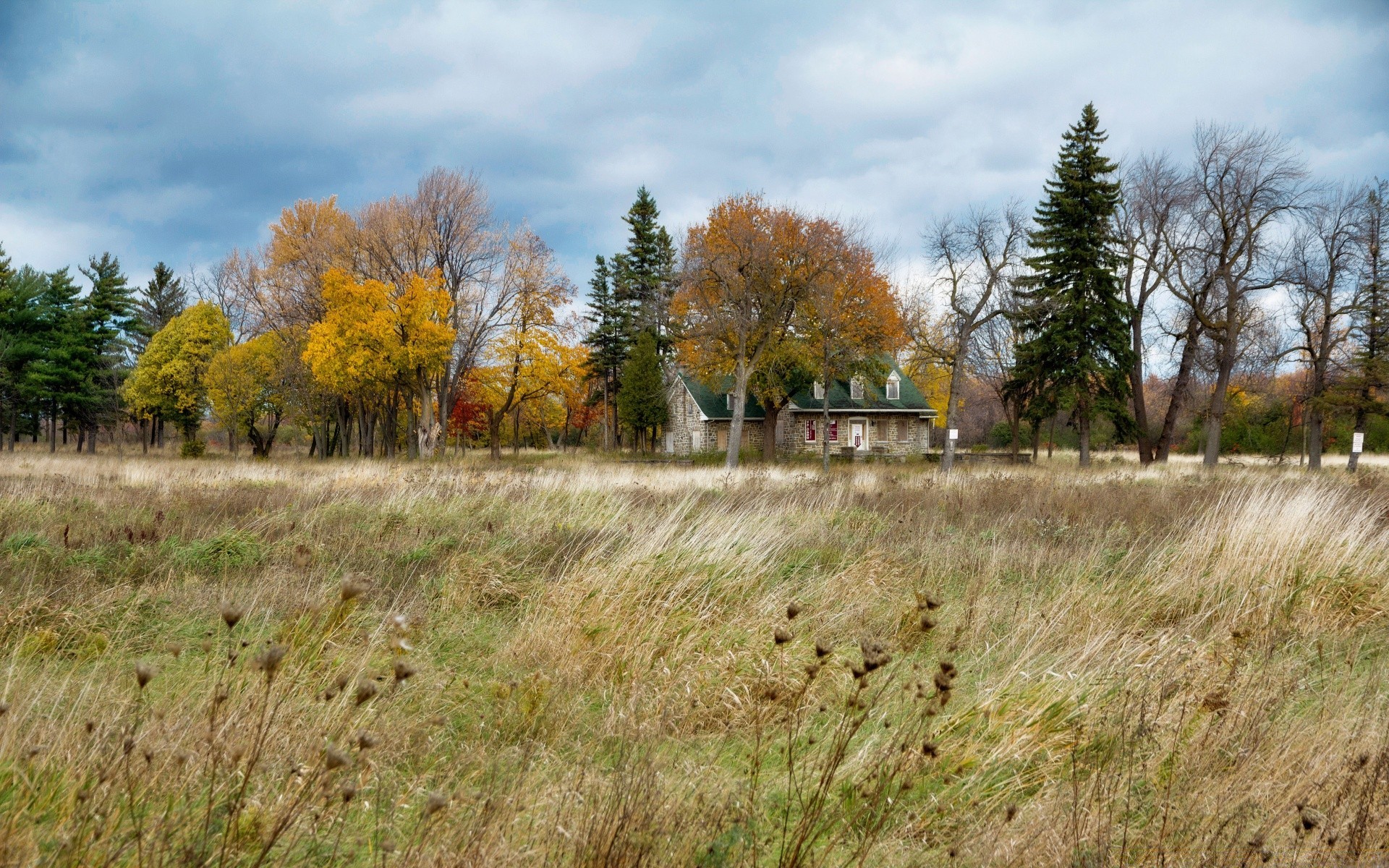 herbst landschaft baum natur herbst holz gras im freien umwelt straße landschaft landschaftlich landschaftlich feld saison park blatt land himmel heuhaufen