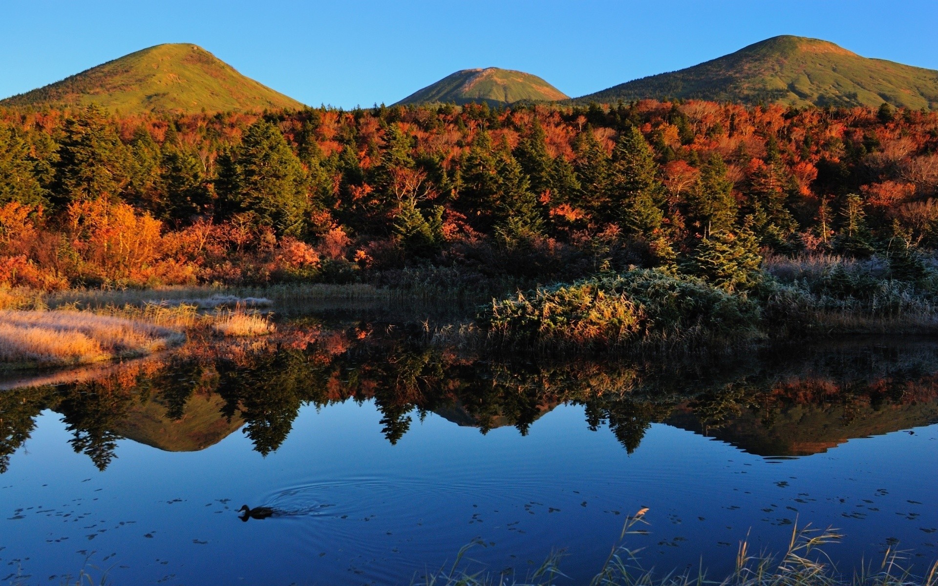 herbst im freien wasser landschaft reisen herbst see natur landschaftlich sonnenuntergang abend himmel tageslicht dämmerung berge reflexion baum