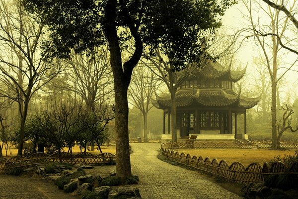 Casa en la niebla en medio de los árboles