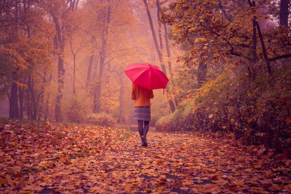 Herbstlaub Mädchen mit Regenschirm