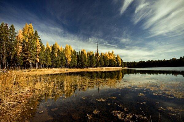 Réflexion de l eau dans le lac à l automne