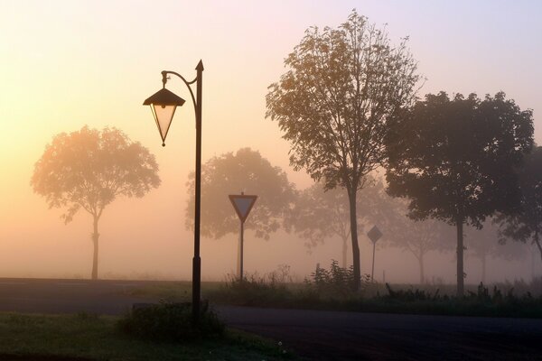 Sunset in autumn in foggy weather