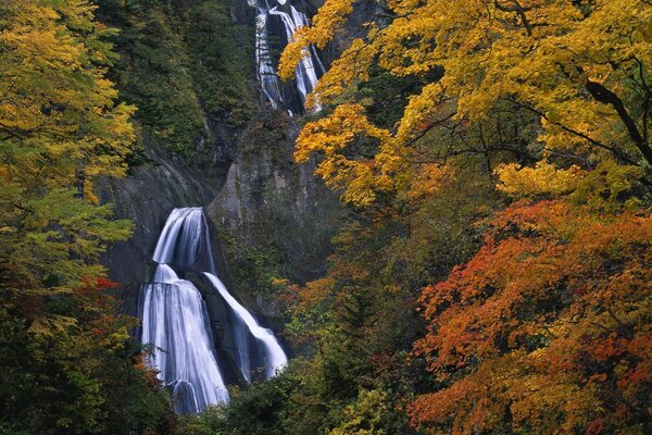 Otoño; el paisaje al aire libre se extiende. El olor de la madera es inanimado por las fosas nasales con ondas agrias; la cascada drena en largos chorros... Otoño