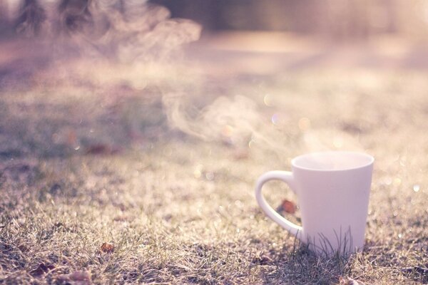 Quoi de mieux que de boire du café tôt le matin en plein air