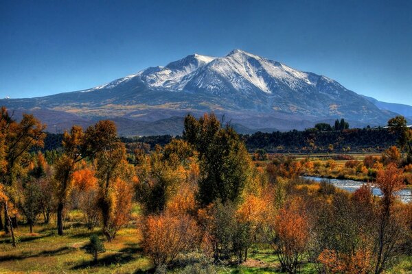 Árvores de outono e montanhas. Paisagem