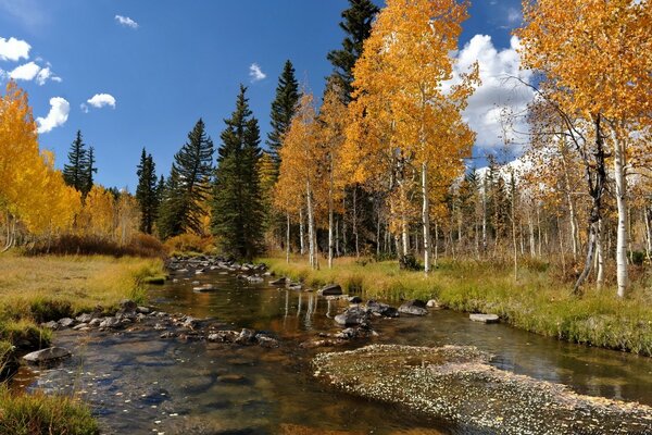 Autumn landscape by the river