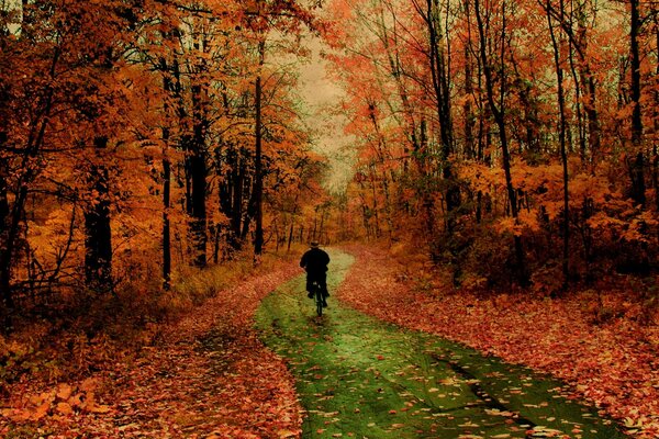 Herbst; ein Mann fährt mit dem Fahrrad, ein Herbstblatt streute die Straße ab