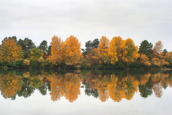 Landschaft des Herbstwaldes am See