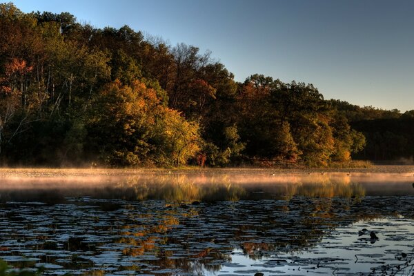 Landschaft mit herbstlicher Natur