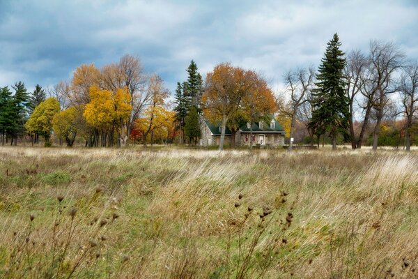 Nature landscape of autumn windy weather