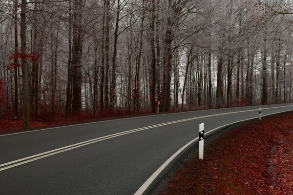 Gris route Bourgogne herbe