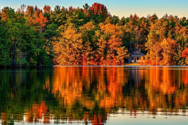 Herbstliche Natur, die Bäume sind in hellen Farben gemalt, auf ihrem See-Hintergrund