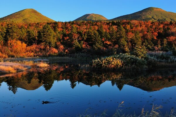 Autumn landscape by the water. Nature