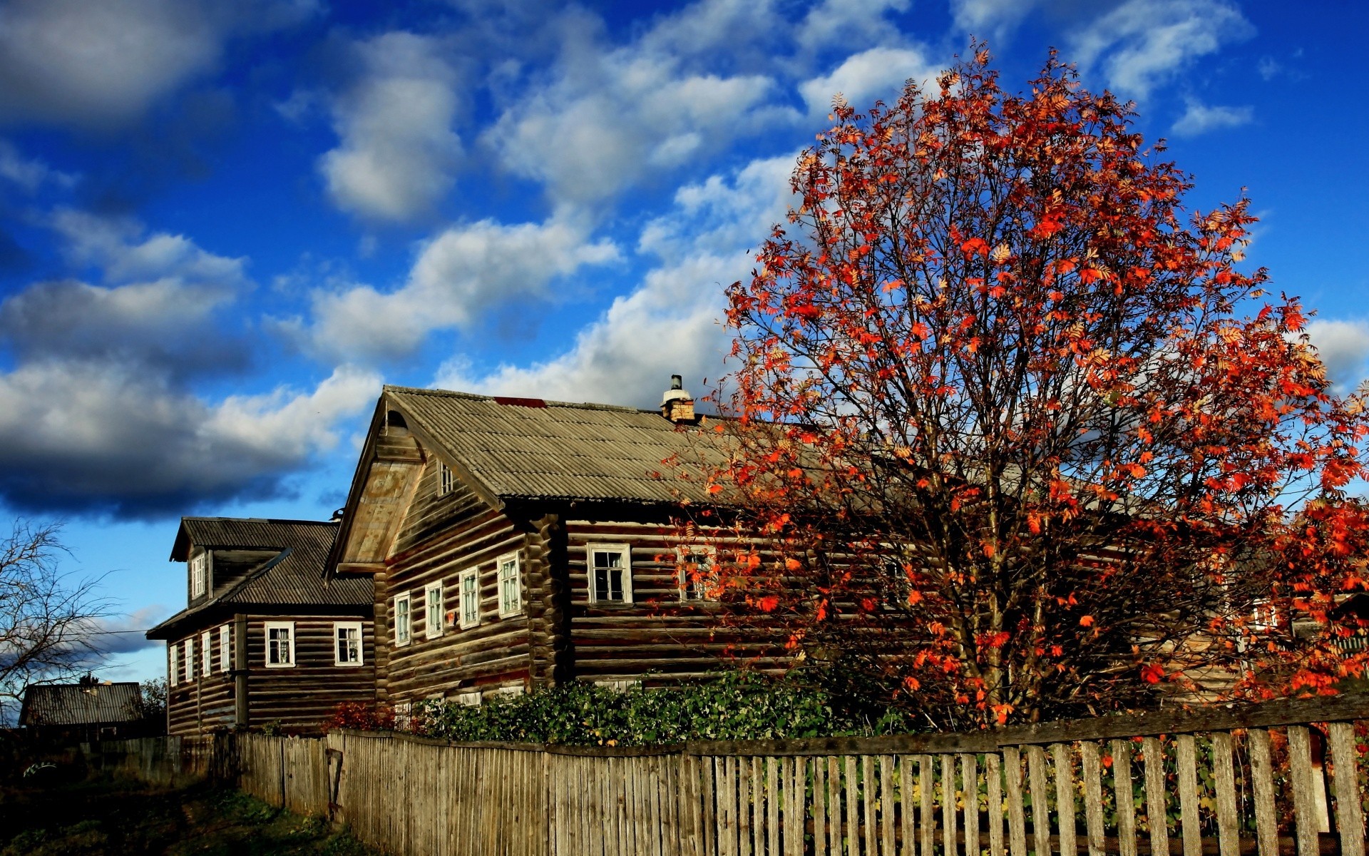 autumn house wood building tree architecture sky outdoors home bungalow