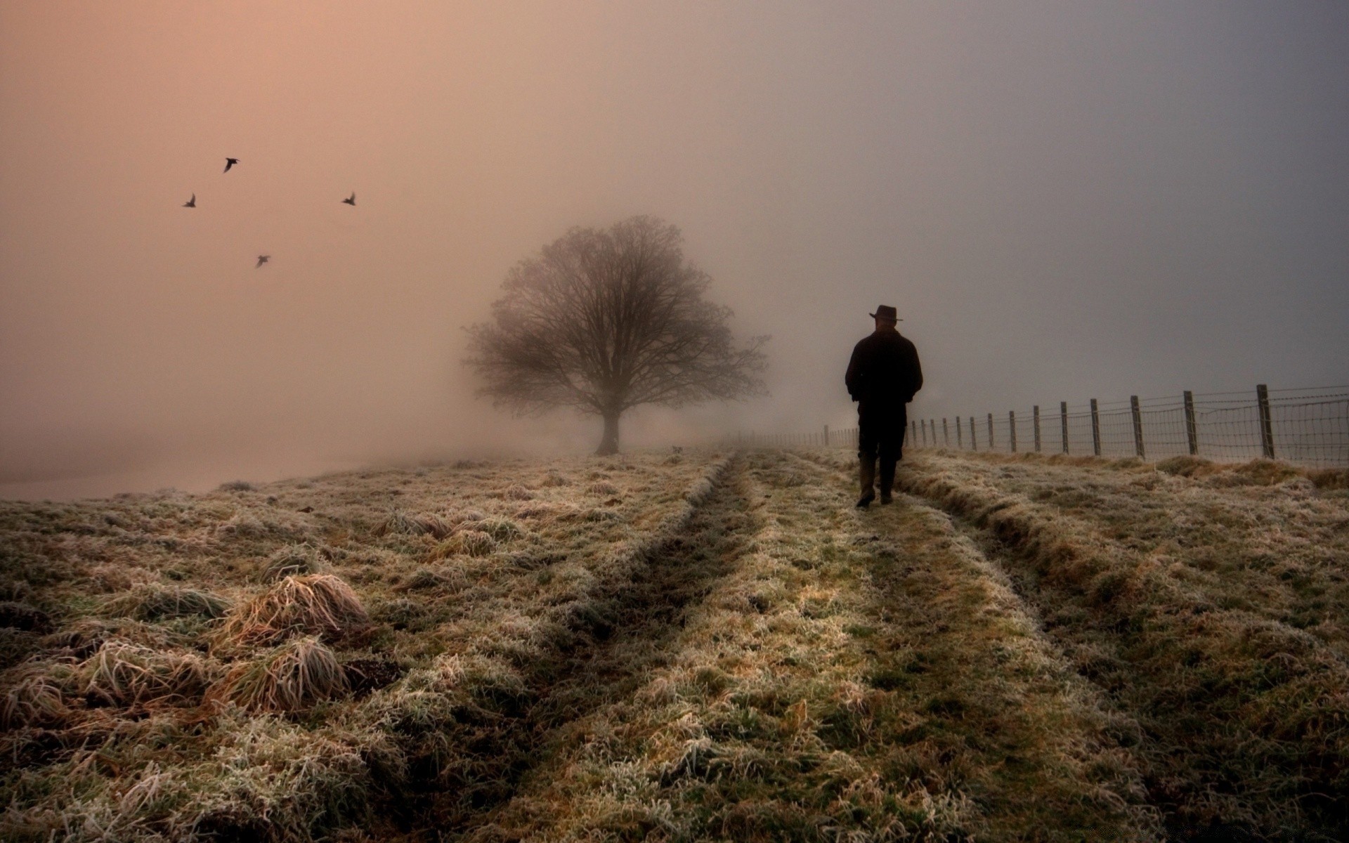 herbst sonnenuntergang nebel dämmerung landschaft nebel im freien himmel abend winter sonne hintergrundbeleuchtung dämmerung tageslicht natur wetter gutes wetter reisen