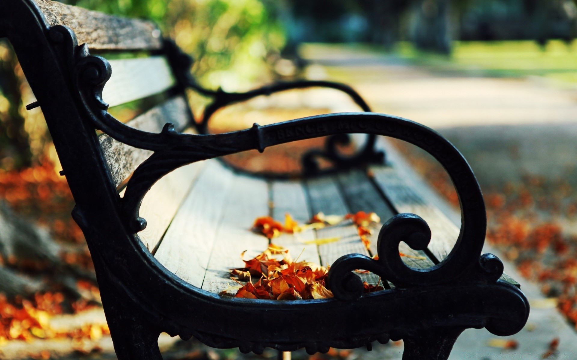 autunno autunno legno panca da giardino ruota all aperto parco sedile foglia di colore per il tempo libero