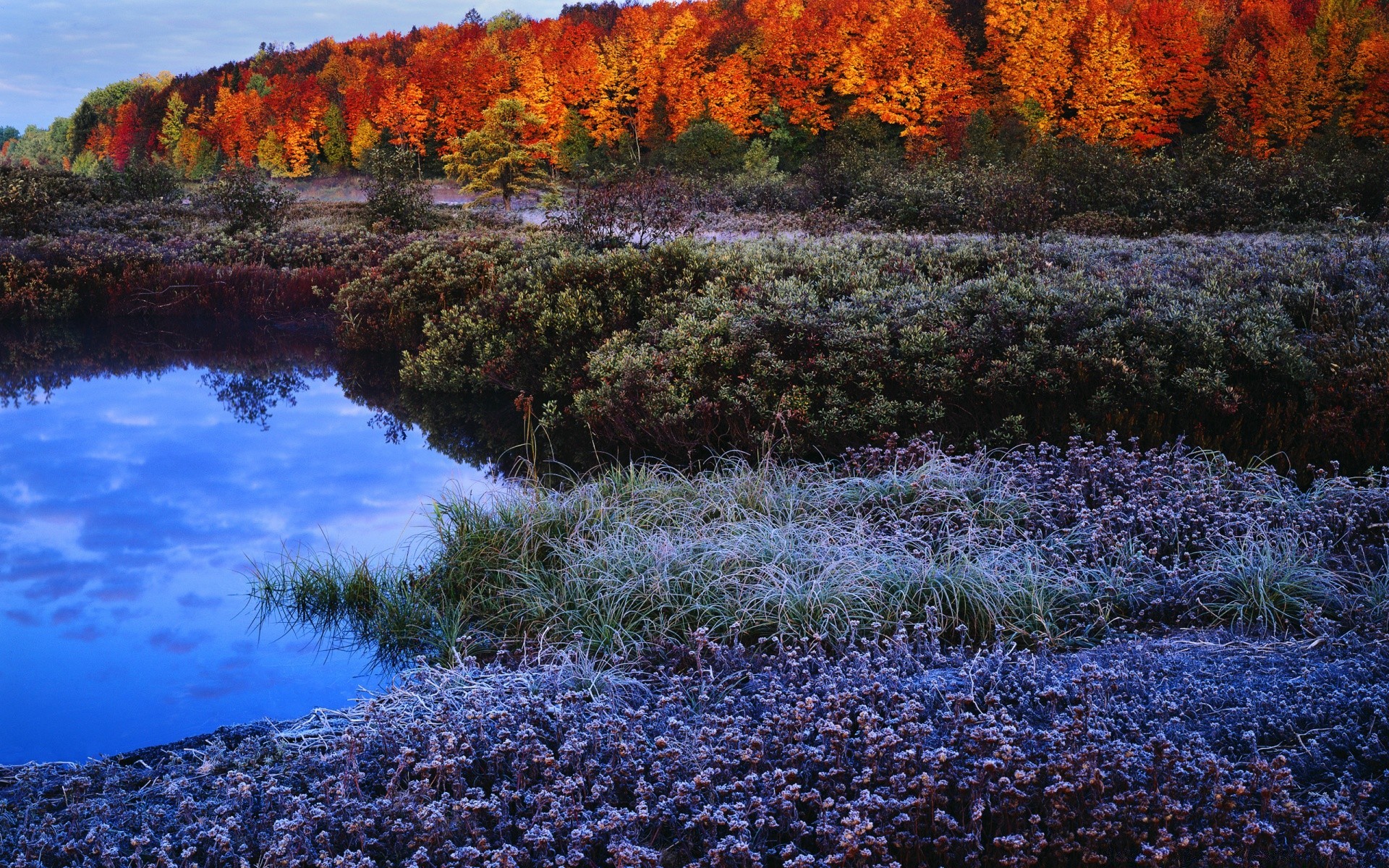 herbst herbst landschaft wasser landschaftlich im freien natur blatt baum farbe blume park szene fluss saison