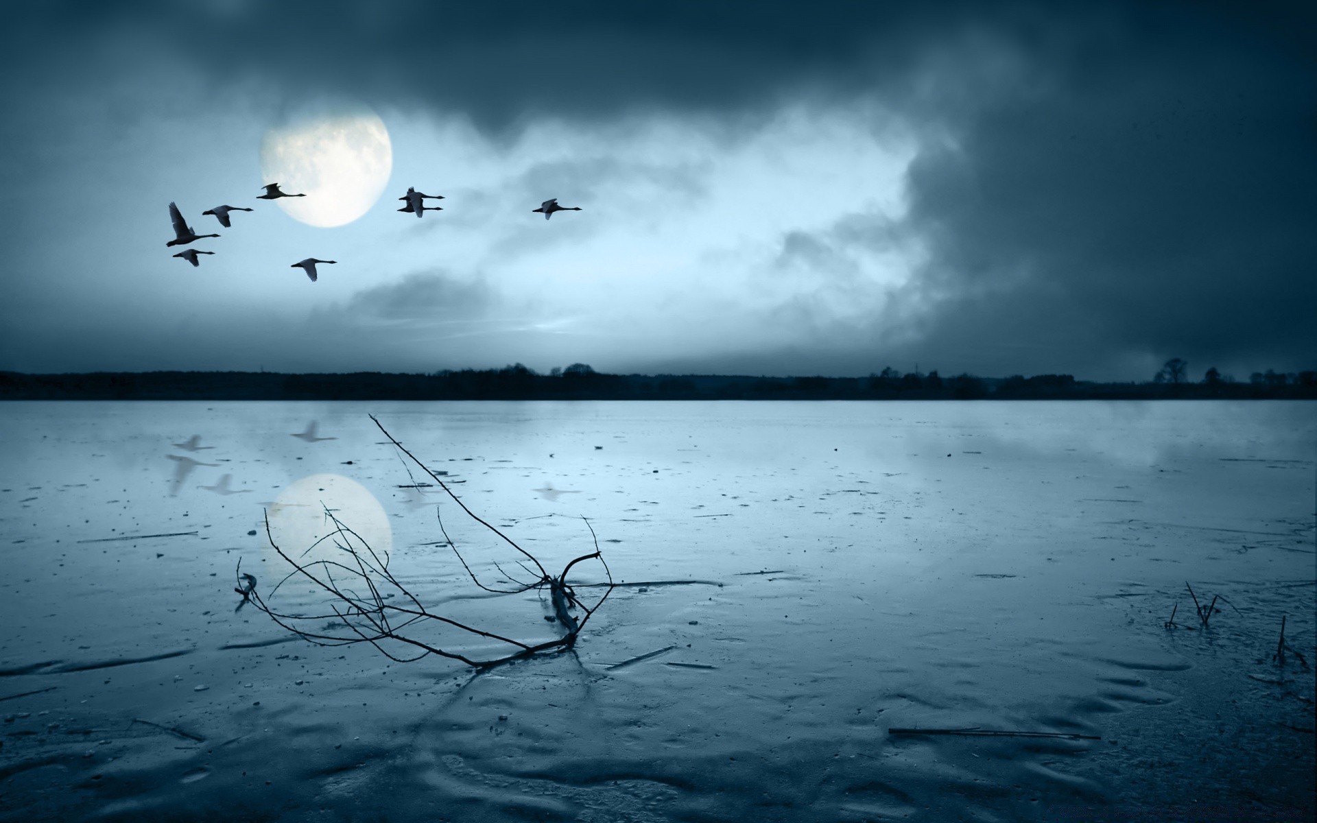 autumn lake water reflection landscape dawn sunset beach river silhouette sky ocean sea evening nature bird light seascape dusk