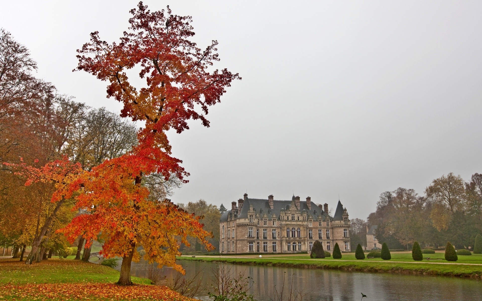 automne automne arbre à l extérieur parc feuille paysage