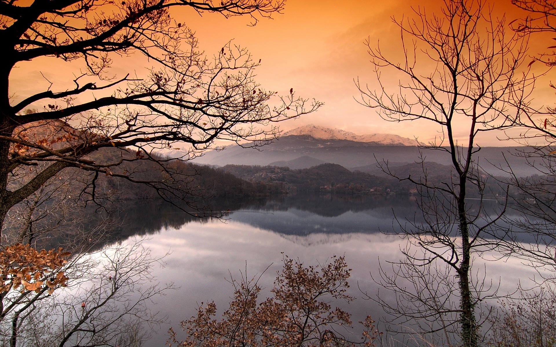 autumn dawn tree winter snow landscape fall nature fog wood cold sunset mist frost weather branch fair weather season sun