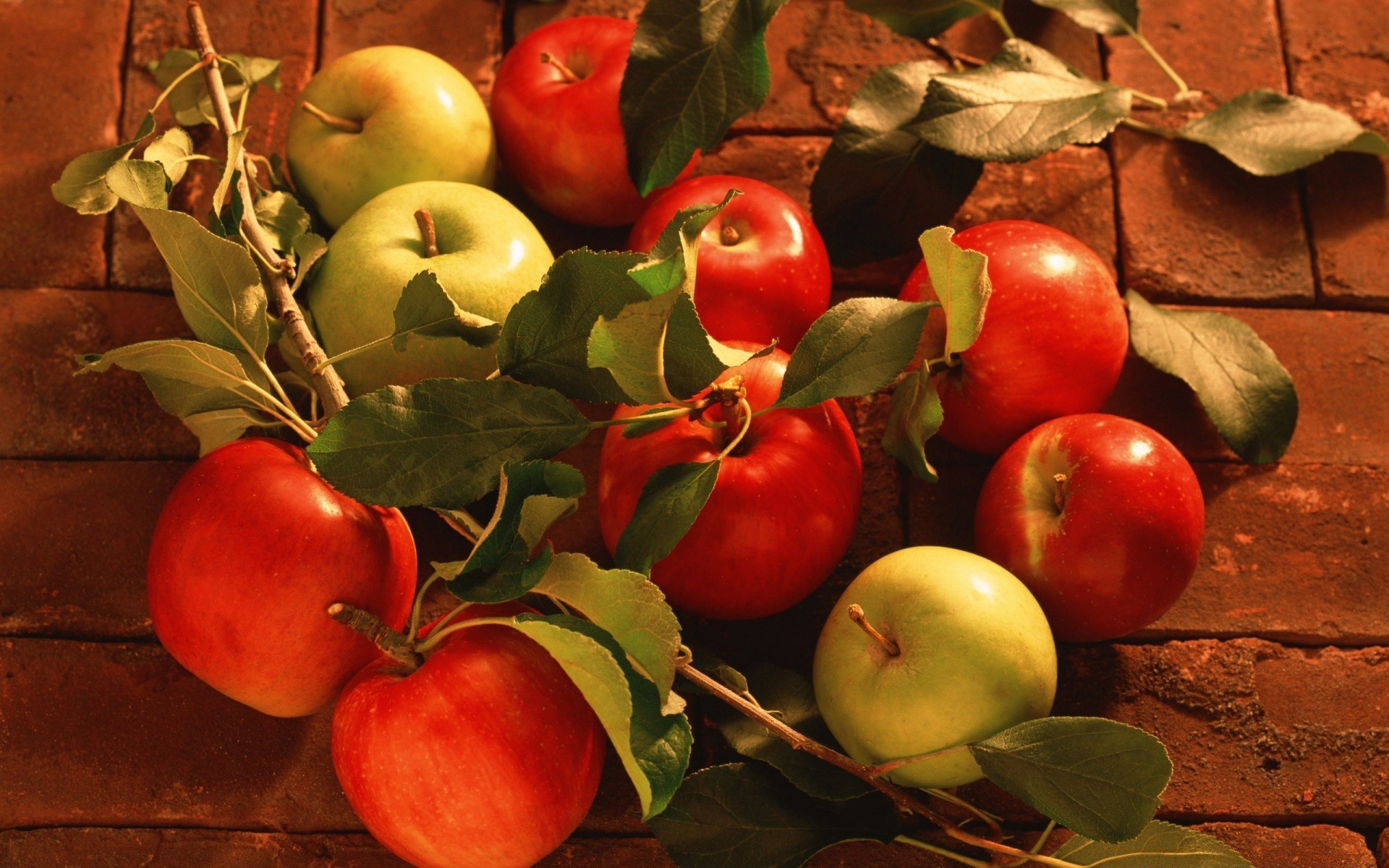 herbst obst essen apfel wachsen saftig weide blatt lecker essen herbst gebäck gesund gesundheit landwirtschaft stillleben markt garten gemüse