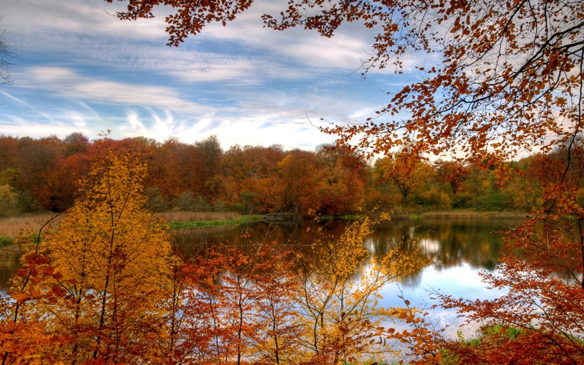 autunno autunno albero paesaggio foglia stagione natura legno alba scenico acero parco all aperto paesaggio oro bel tempo ramo luminoso sole campagna