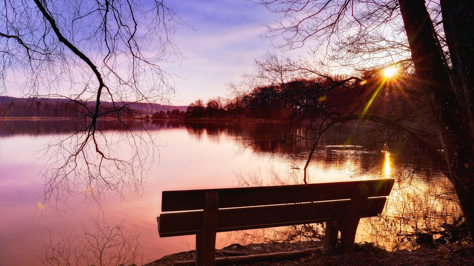 otoño amanecer árbol lago paisaje reflexión agua puesta de sol banco otoño madera río invierno luz noche naturaleza sol parque niebla tiempo