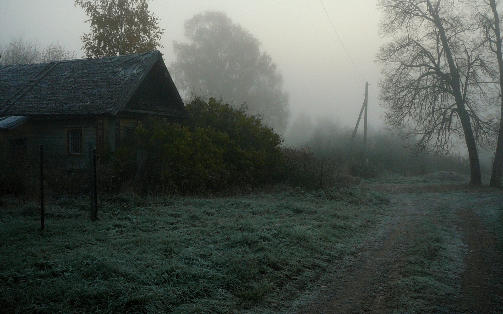 autumn landscape fog tree mist wood dawn weather storm light farm home daylight environment