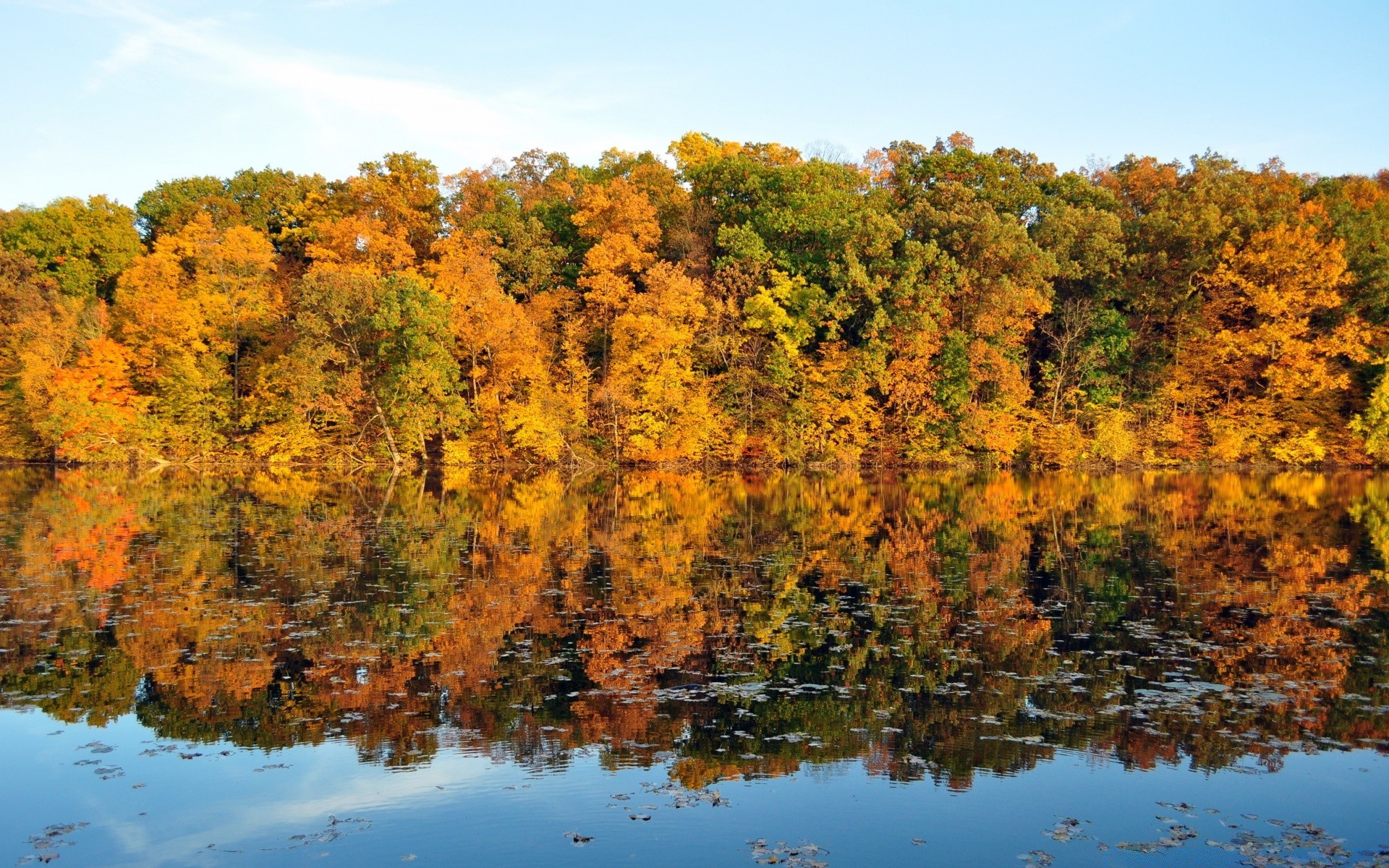 automne automne arbre paysage feuille bois nature scénique saison lac eau rivière à l extérieur paysages réflexion environnement érable lumière du jour or parc