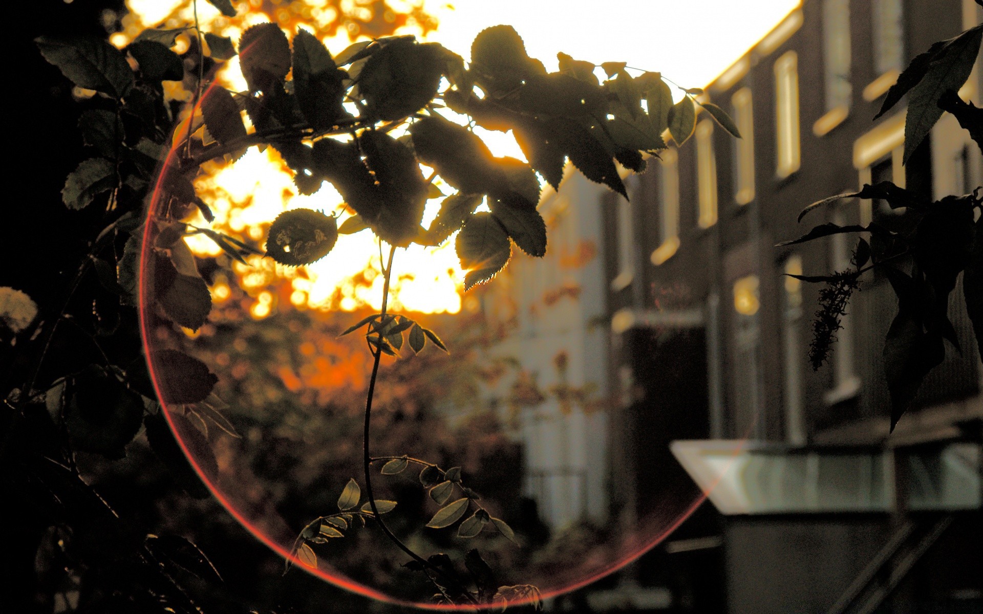 herbst flamme licht essen dunkel trinken kerze stillleben