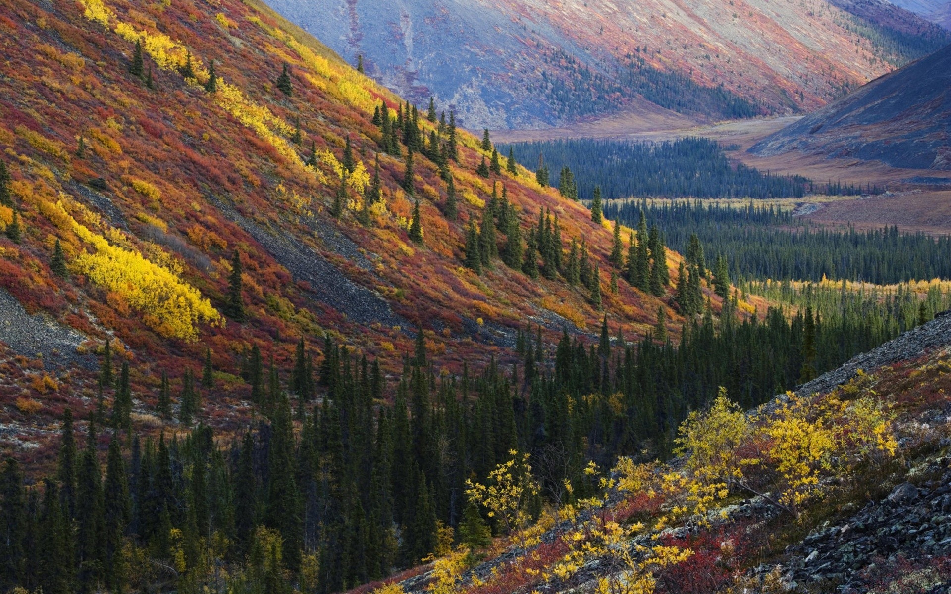 herbst herbst holz landschaft natur im freien berge landschaftlich reisen baum blatt tageslicht himmel park landschaft tal umwelt wasser szene wild