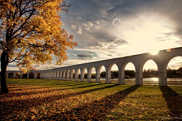 Bright sun in the autumn park