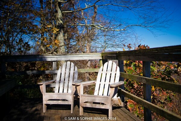 Comodidad y belleza otoñal al aire libre