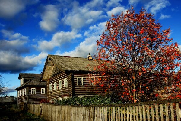 Autunno nel villaggio. Casetta rustica in vivaci colori autunnali