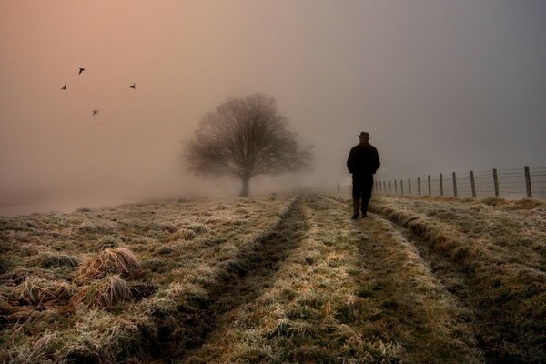 Um homem andando no campo no nevoeiro