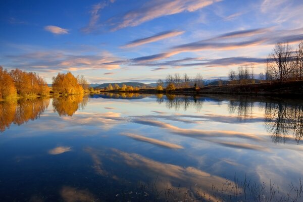 Wonderful, bright, autumn, colorful trees on the background of the lake. The autumn mood is felt